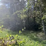 Ferienhaus Les De La Moure Basse Montaigu-de-Quercy