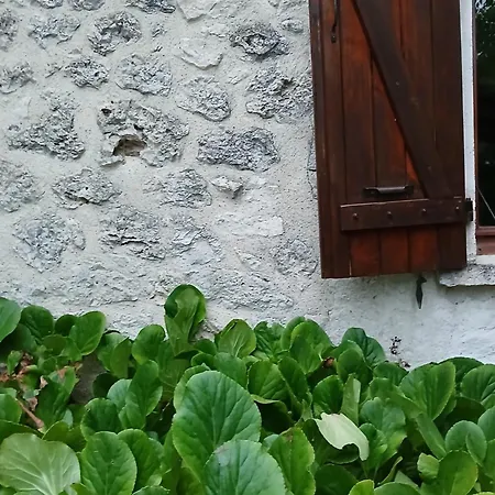 Holiday home Les De La Moure Basse Montaigu-de-Quercy