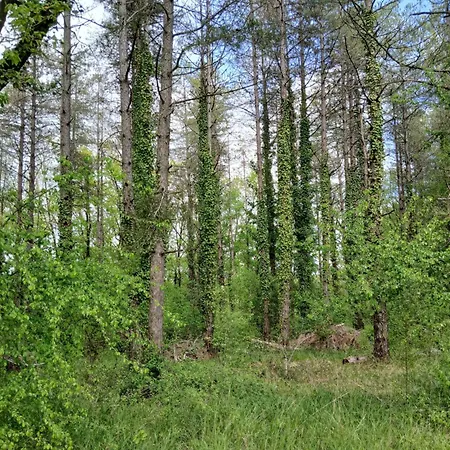 Les De La Moure Basse Montaigu-de-Quercy
