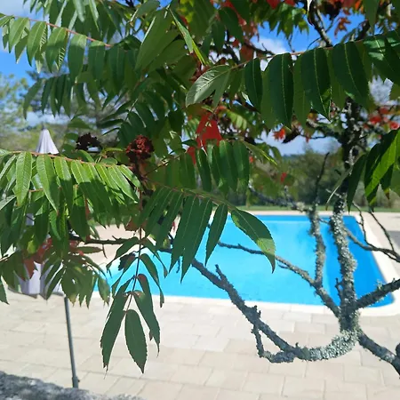 Les De La Moure Basse *