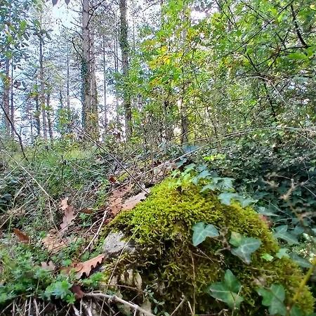 Vakantiehuis Les De La Moure Basse Montaigu-de-Quercy