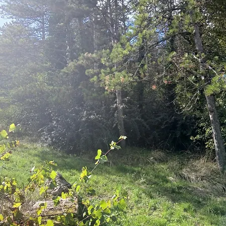 Holiday home Les De La Moure Basse Montaigu-de-Quercy