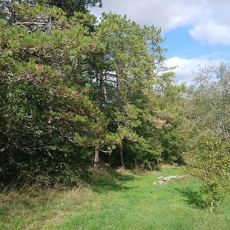 Les De La Moure Basse Montaigu-de-Quercy