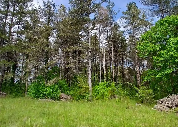 Vakantiehuis Les De La Moure Basse