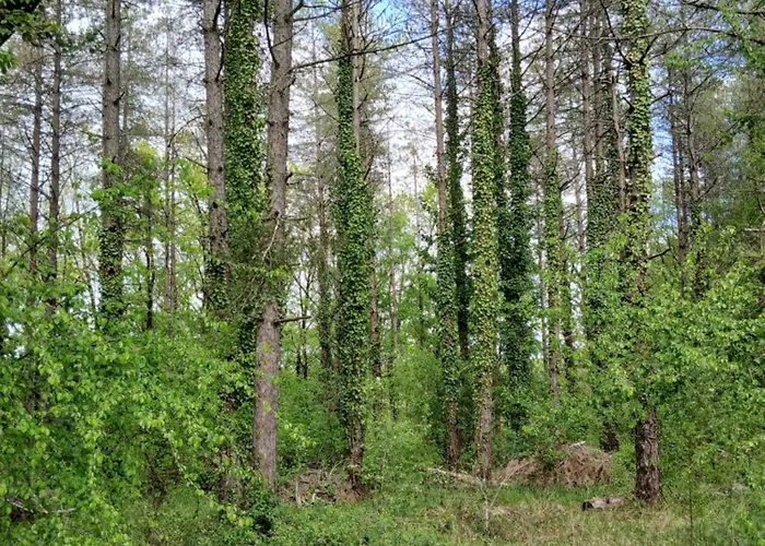 Les De La Moure Basse Montaigu-de-Quercy