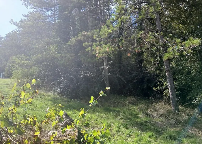 Vakantiehuis Les De La Moure Basse Montaigu-de-Quercy