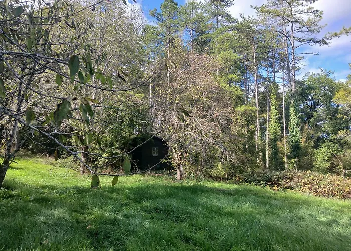 Vakantiehuis Les De La Moure Basse