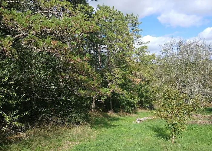 Les De La Moure Basse Montaigu-de-Quercy